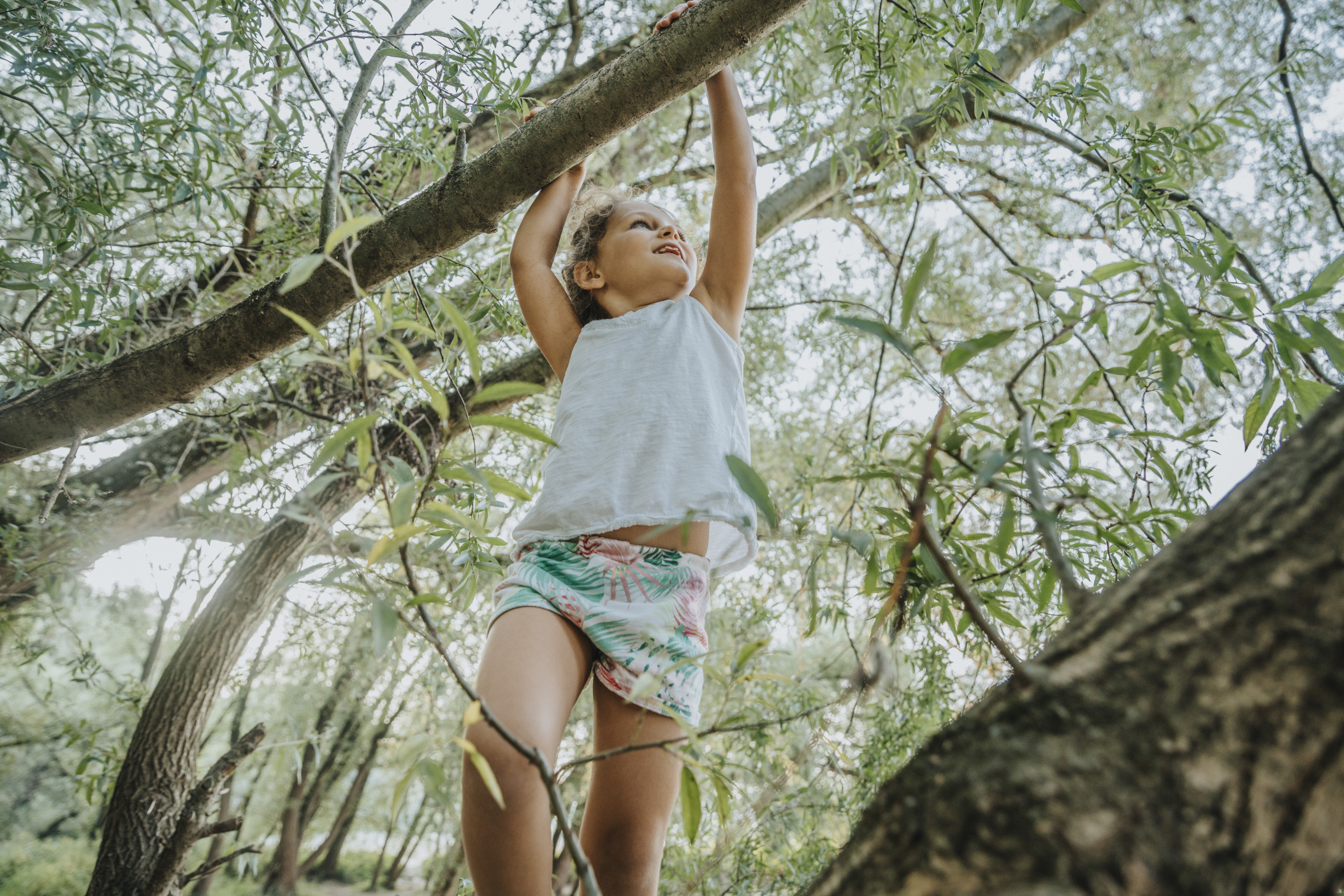 Child climbing willow tree, Cologne, NRW, Germany