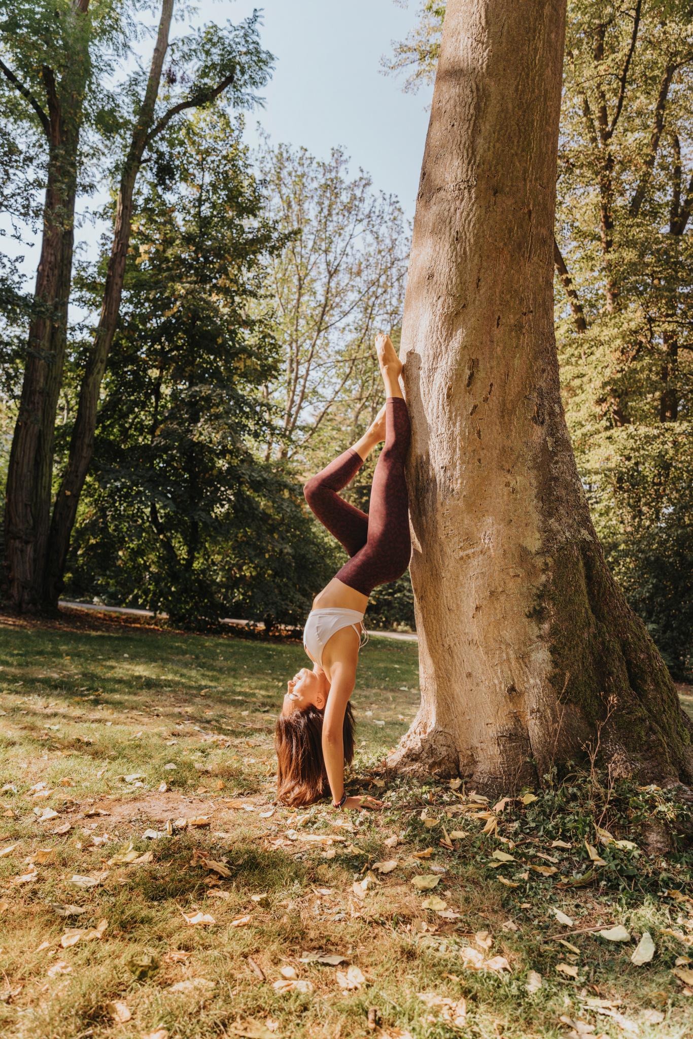 Woman in nature holding headstand pose at a tree, Cologne, NRW, Germany