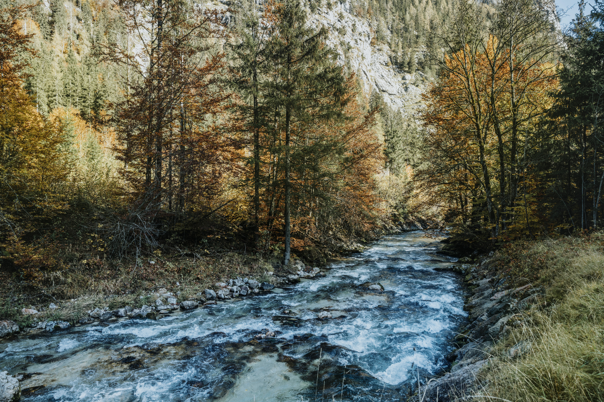 Gebirgsbach Loferbach im Herbst, Salzburger Land, Oesterreich